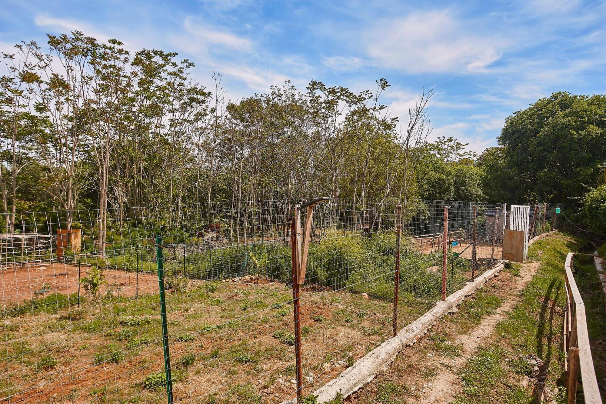 פלרמו Villa Laura מראה חיצוני תמונה